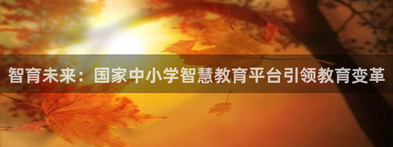 新宝5秒开