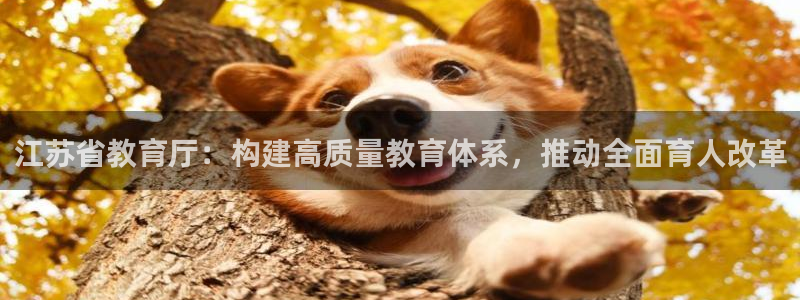 新宝5娱乐然