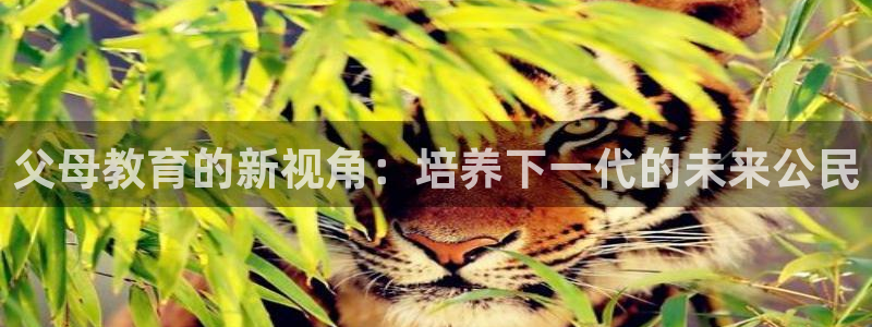 新宝5日740005蔻