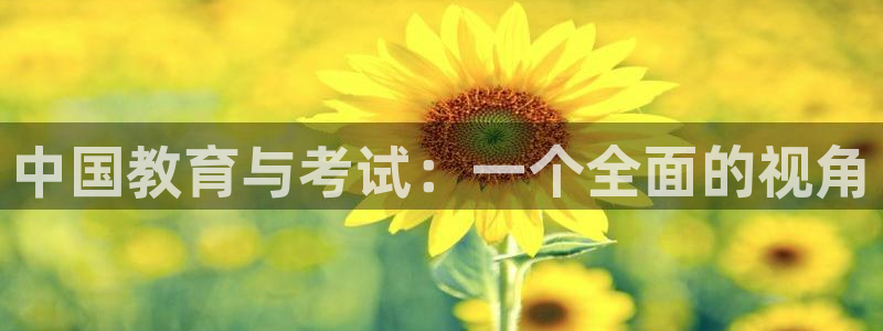 新宝5平台咋样