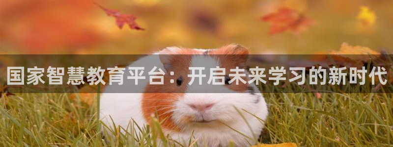 新宝5如何下载