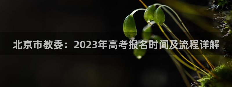 新宝5网
