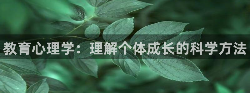 新宝5网站