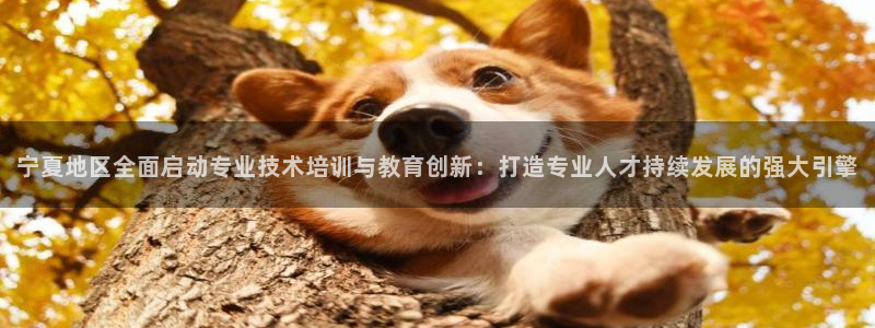 新宝5网