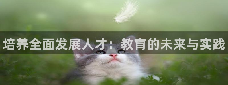 新宝5彩票是正规平台吗