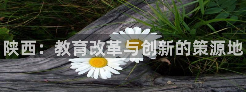 有人知道新宝5么