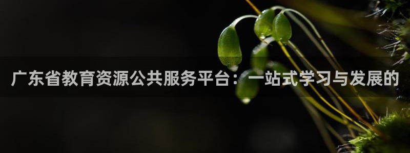 新宝5娱乐多