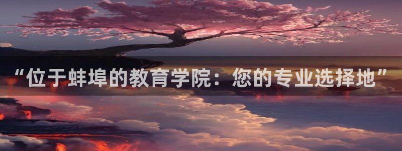 有人知道新宝5么