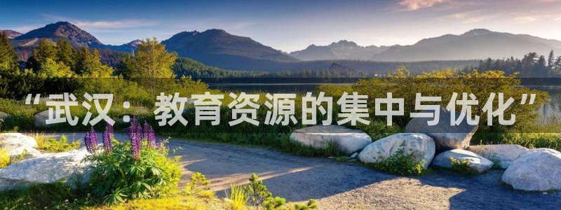 新宝5现在还能玩吗