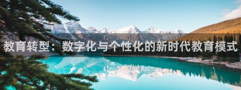 新宝5娱乐没
