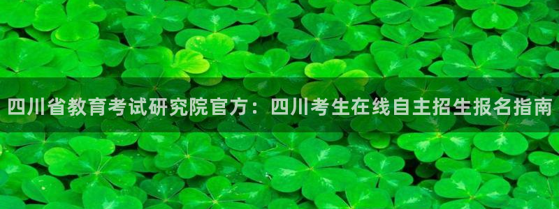 新宝5是什么样子的