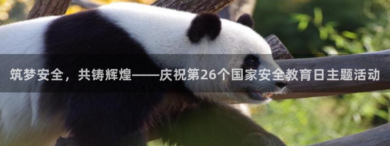 新宝5官方网站
