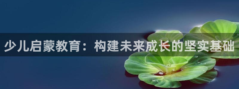 新宝5下载 迅雷下载