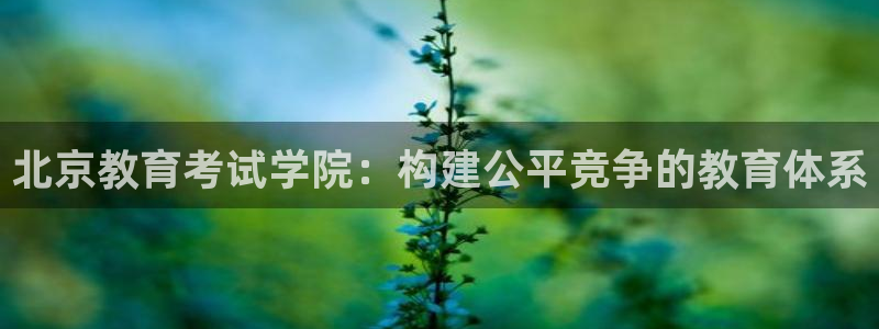 新宝5可靠吗