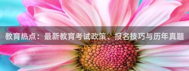 新宝5总代