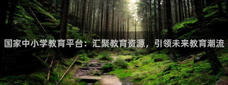 新宝5公司