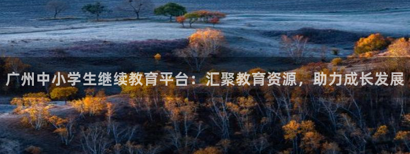 新宝娱乐5