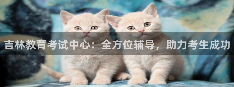 新宝5下载软件