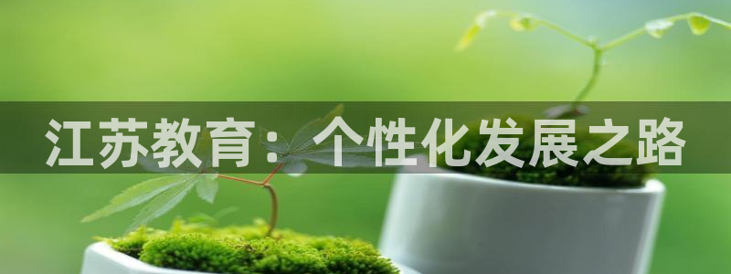 新宝那2O5O5O