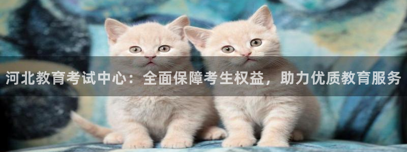 新宝那2O5O5O