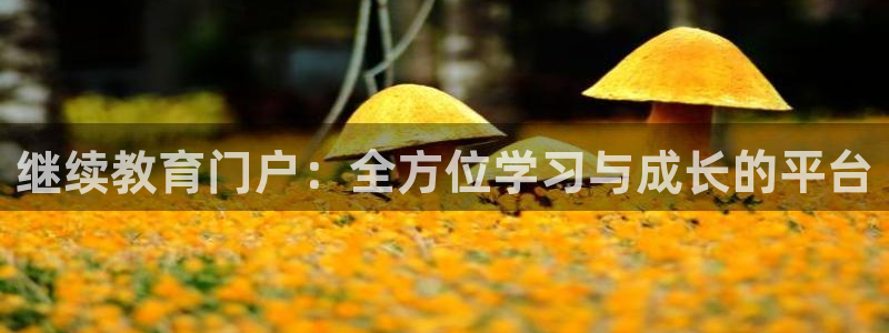 新宝5测速登陆