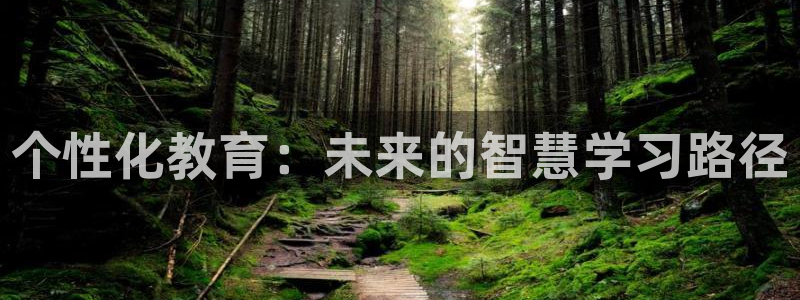 新宝5官网平台