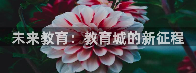 新宝股东张听2 5 5