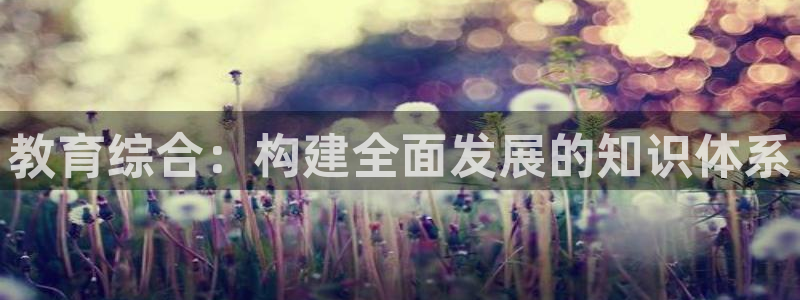新宝5现在还能玩吗