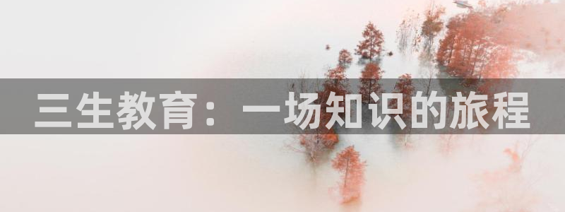 新宝5网