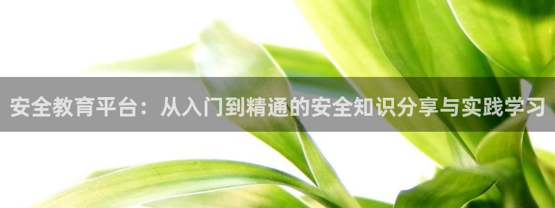 新宝m2O5O5O