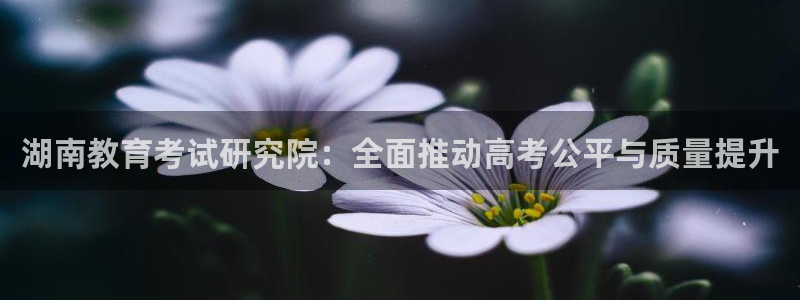 新宝娱乐5