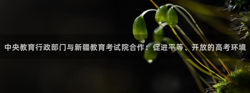 新宝5娱乐招商