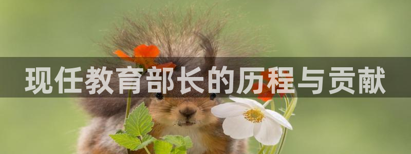 新宝5官网app