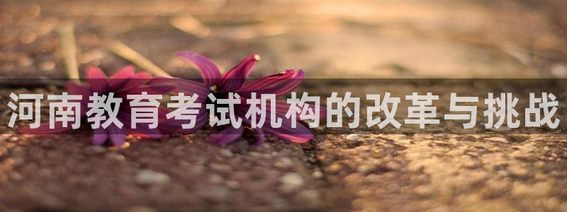 新宝5怎么下载到桌面