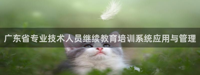 新宝5官方下载地址