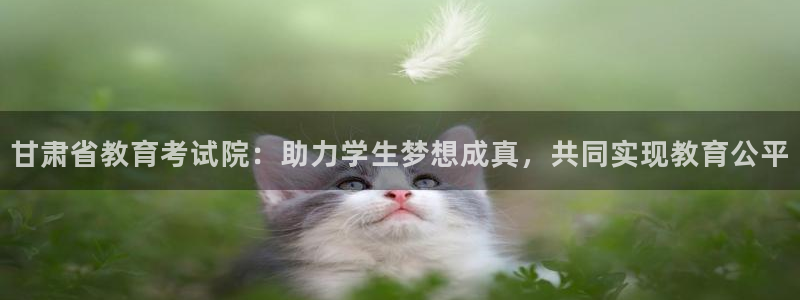 新宝5怎么下载到桌面