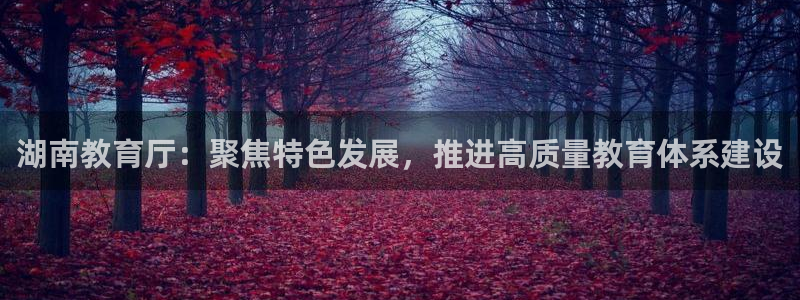 新宝5 - 测速登陆