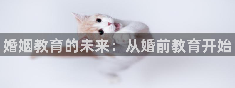 新宝5是什么样子的