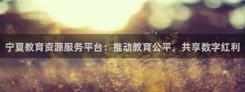 新宝5是什么样子的