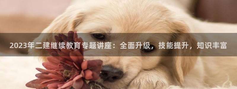 新宝5彩票娱乐平台
