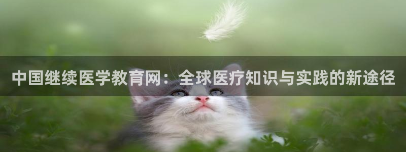 新宝5app手机下载