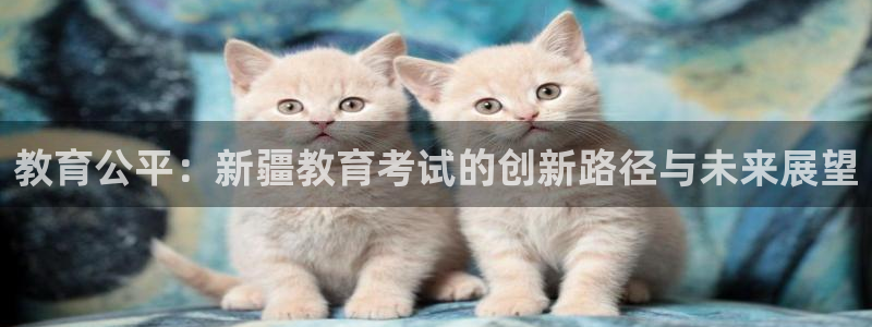新宝5 代理