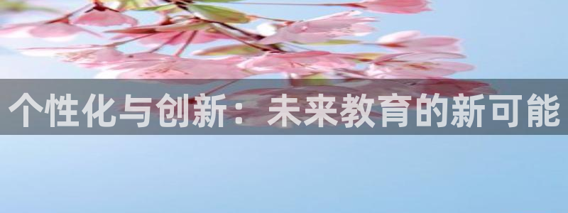 新宝5开好