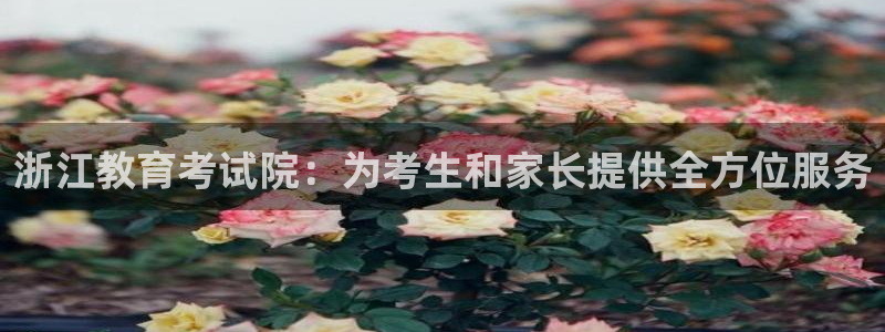 新宝5下载app