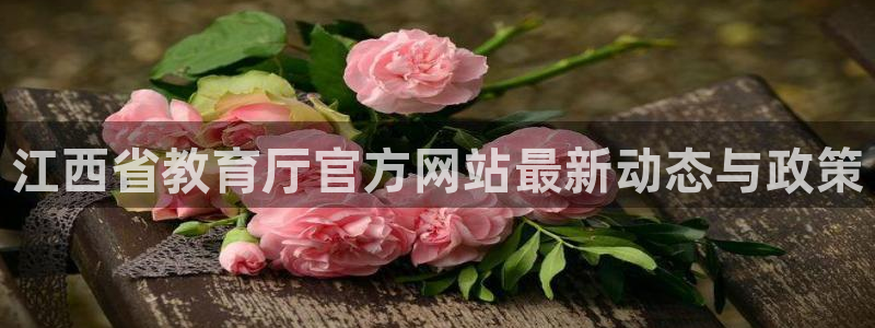 新宝5侹刔